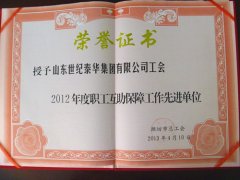 2012年度职工互助保障工作先进单位